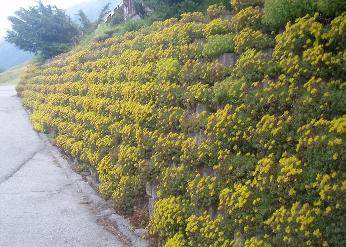 דירה Maria-luise קאפל