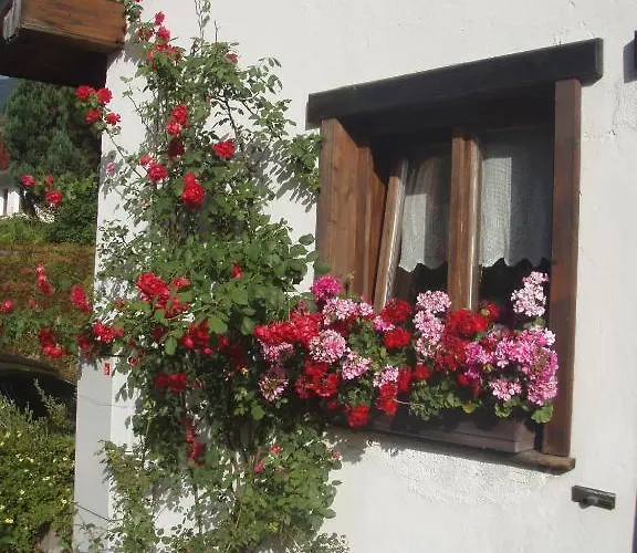 Maria-luise * קאפל